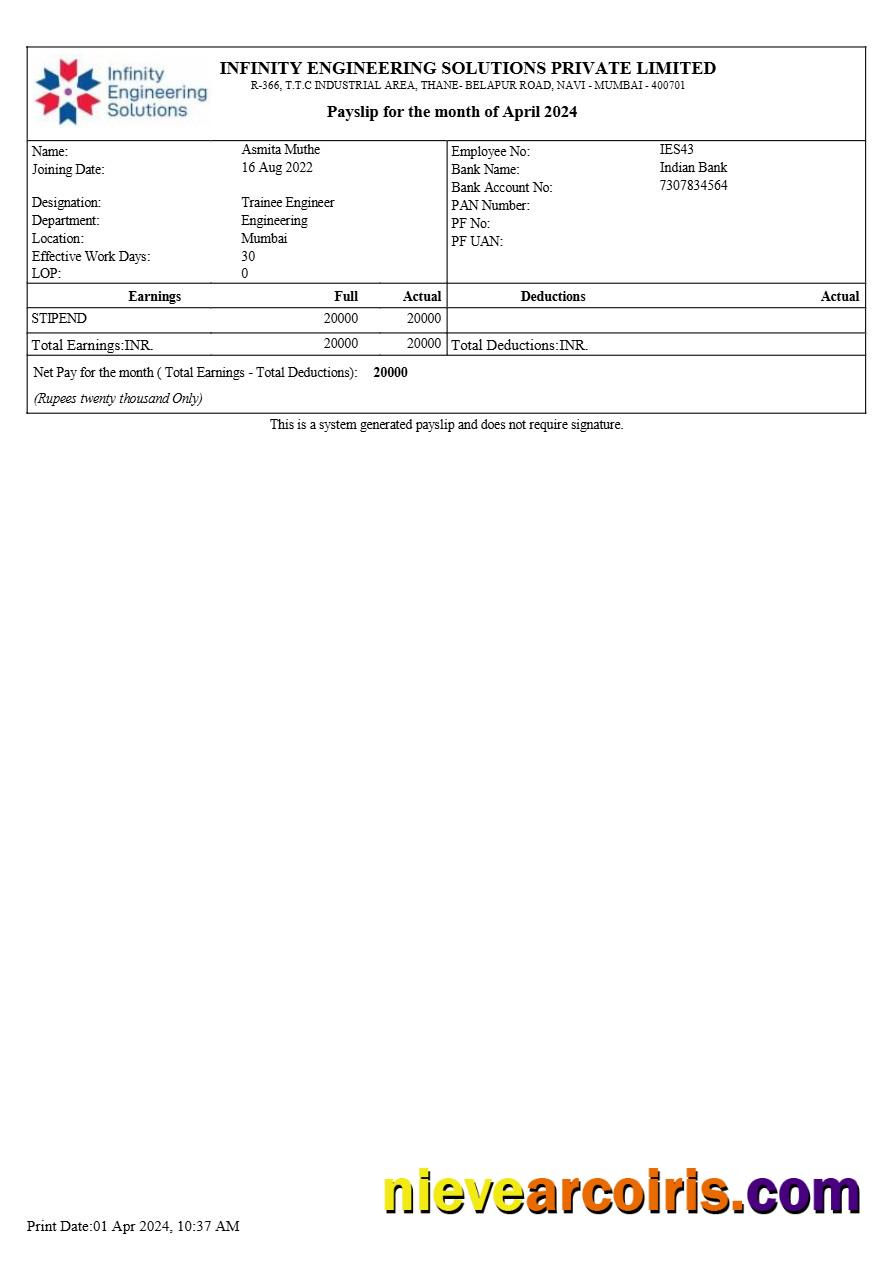 Infinity Engineering Solutions payslip